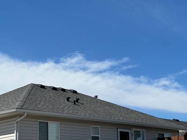 Best Metal Roofing Installation  in Homewood, AL